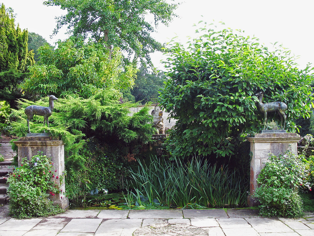 Terrasse en dalles de pierre naturelle dans un jardin à Toulouse